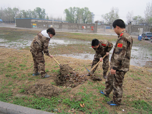 我系学子参加学院植树活动